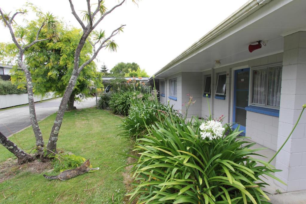 Waiuku Motel Exterior foto